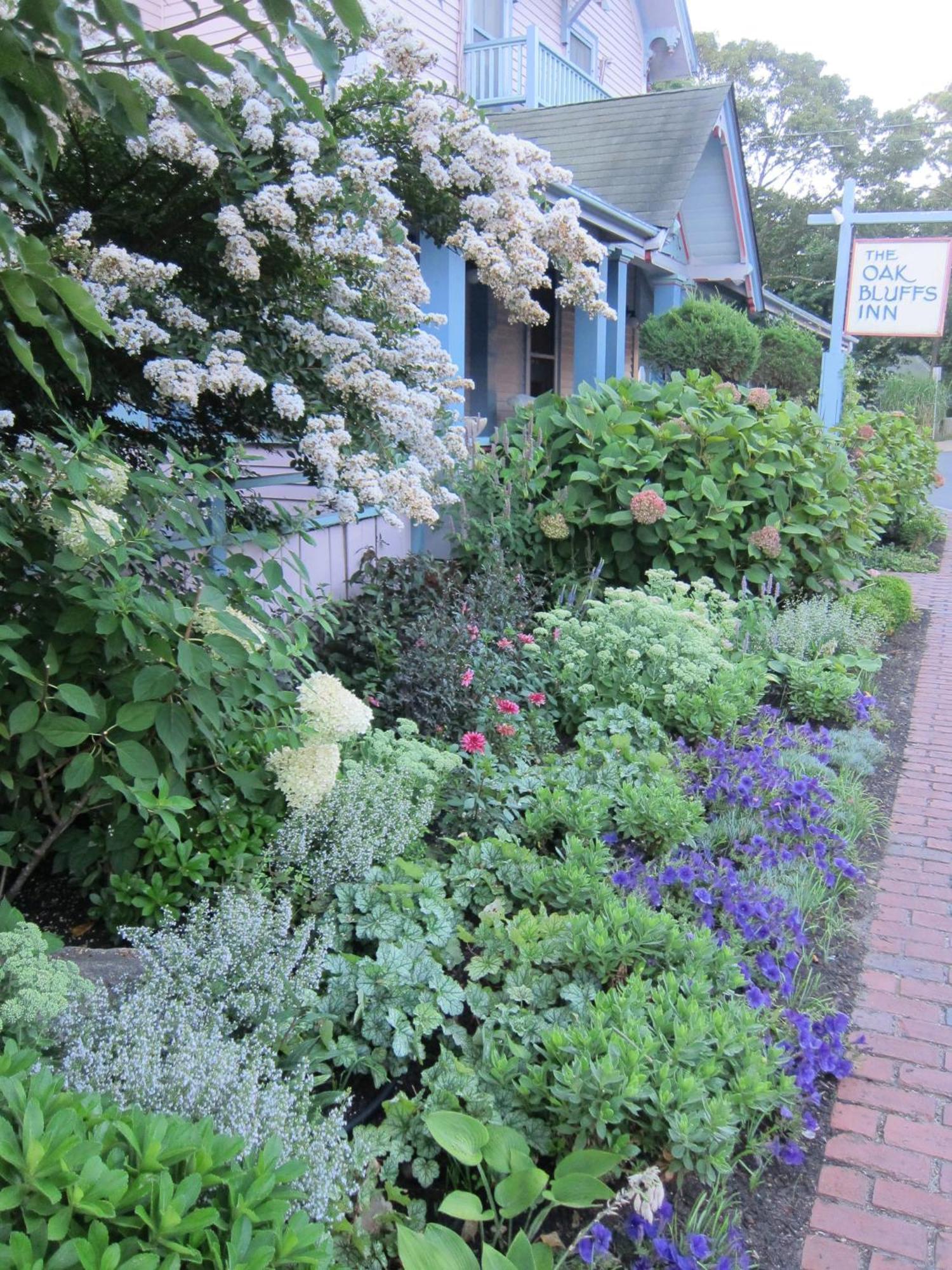 The Oak Bluffs Inn 외부 사진